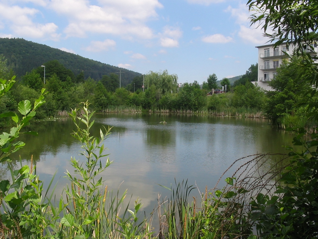 Gesundheitszentrum Main Spessart Lebendiges Umfeld 2 1