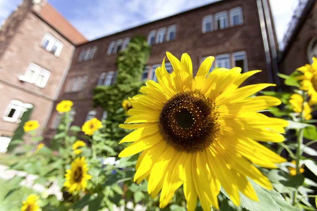 Gesundheitszentrum Main Spessart Sinnesgarten 2